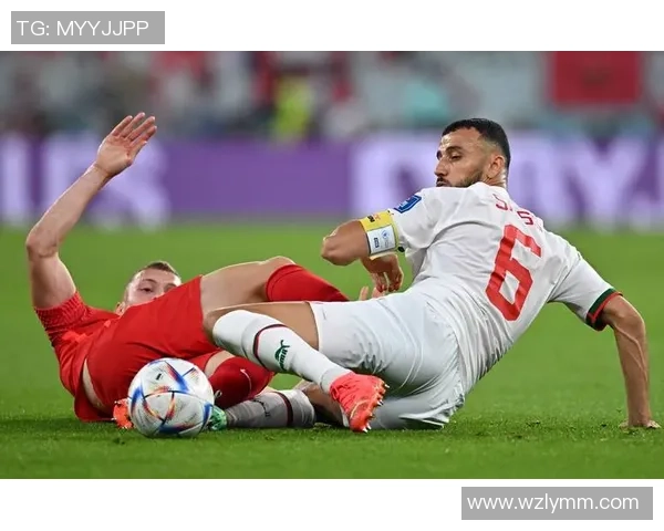 加拿大足球队明星球员全解析 从卡文-刘易斯到大卫-霍夫曼的崛起